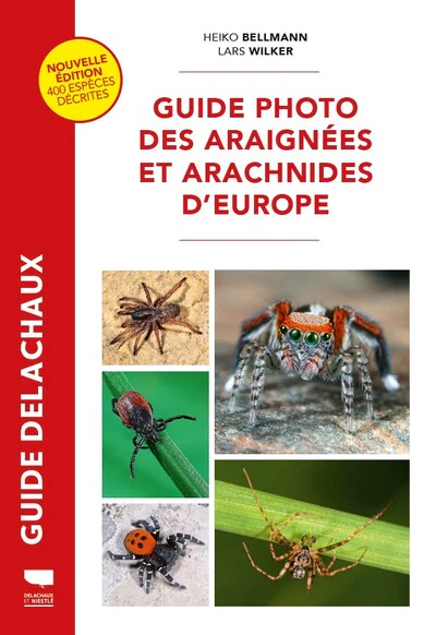 Guide photo des araignées et arachnides d'Europe - Image 2