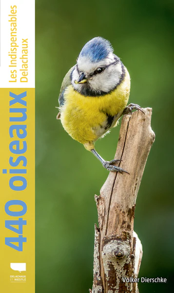 440 oiseaux - Image 2