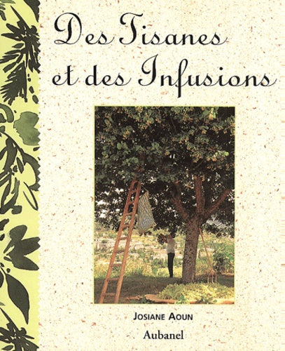 Des Tisanes Et Des Infusions - Image 4
