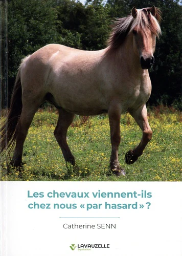 LES CHEVAUX VIENNENT-ILS CHEZ NOUS PAR HASARD ? - Image 3