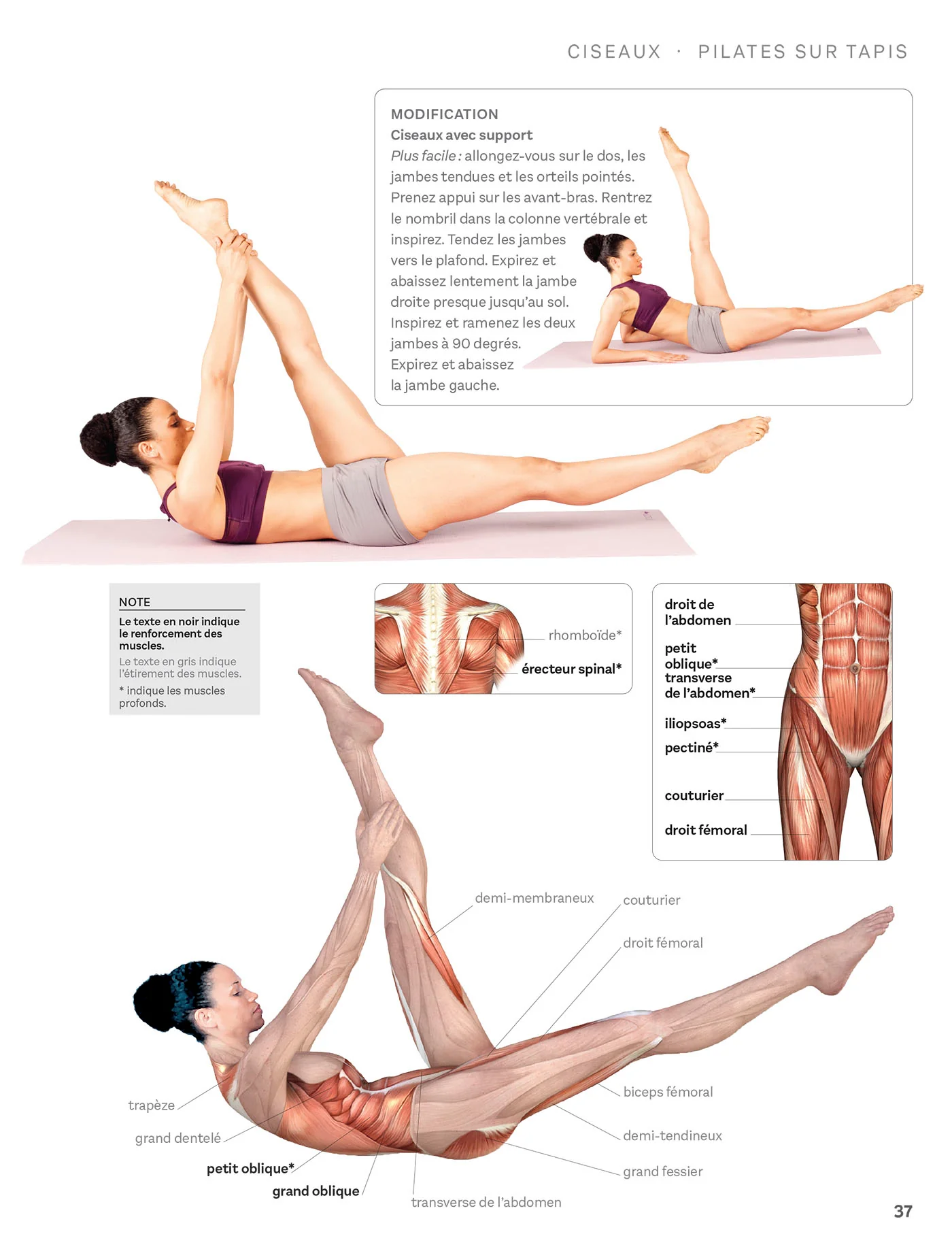 Exercices de Pilates pour débutants - Image 45