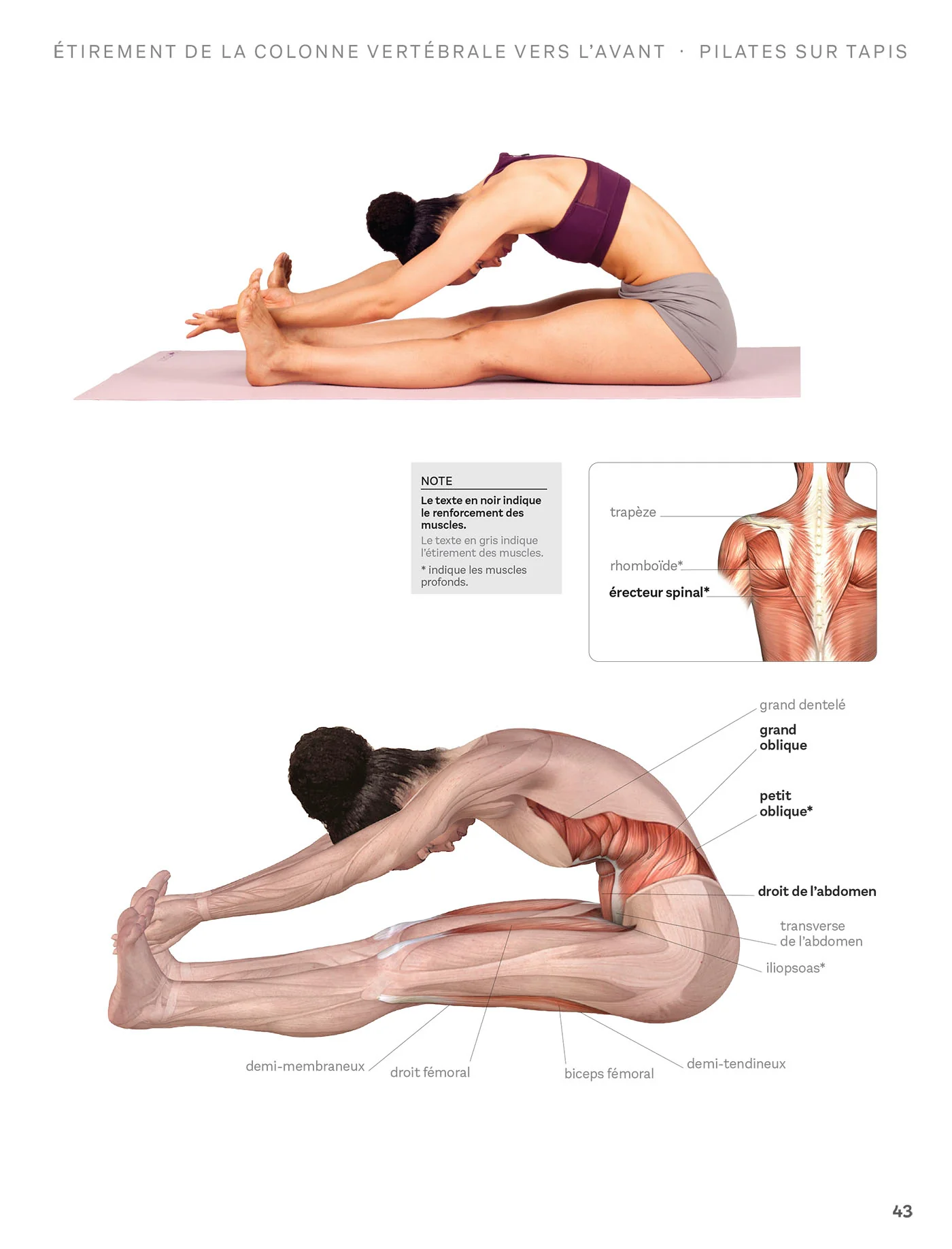 Exercices de Pilates pour débutants - Image 51