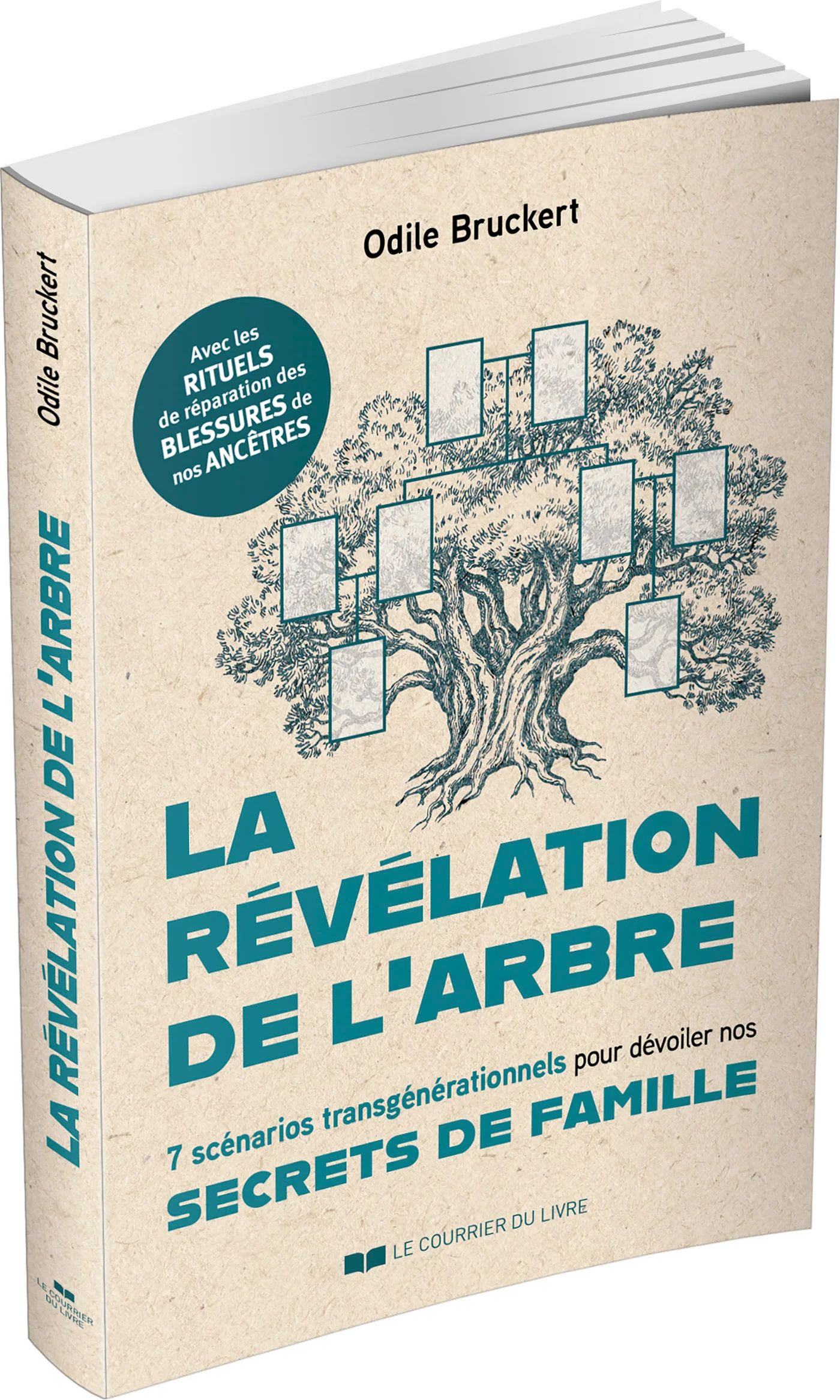 La révélation de l'arbre - 7 scénarios transgénérationnels pour dévoiler nos secrets de famille - Image 12