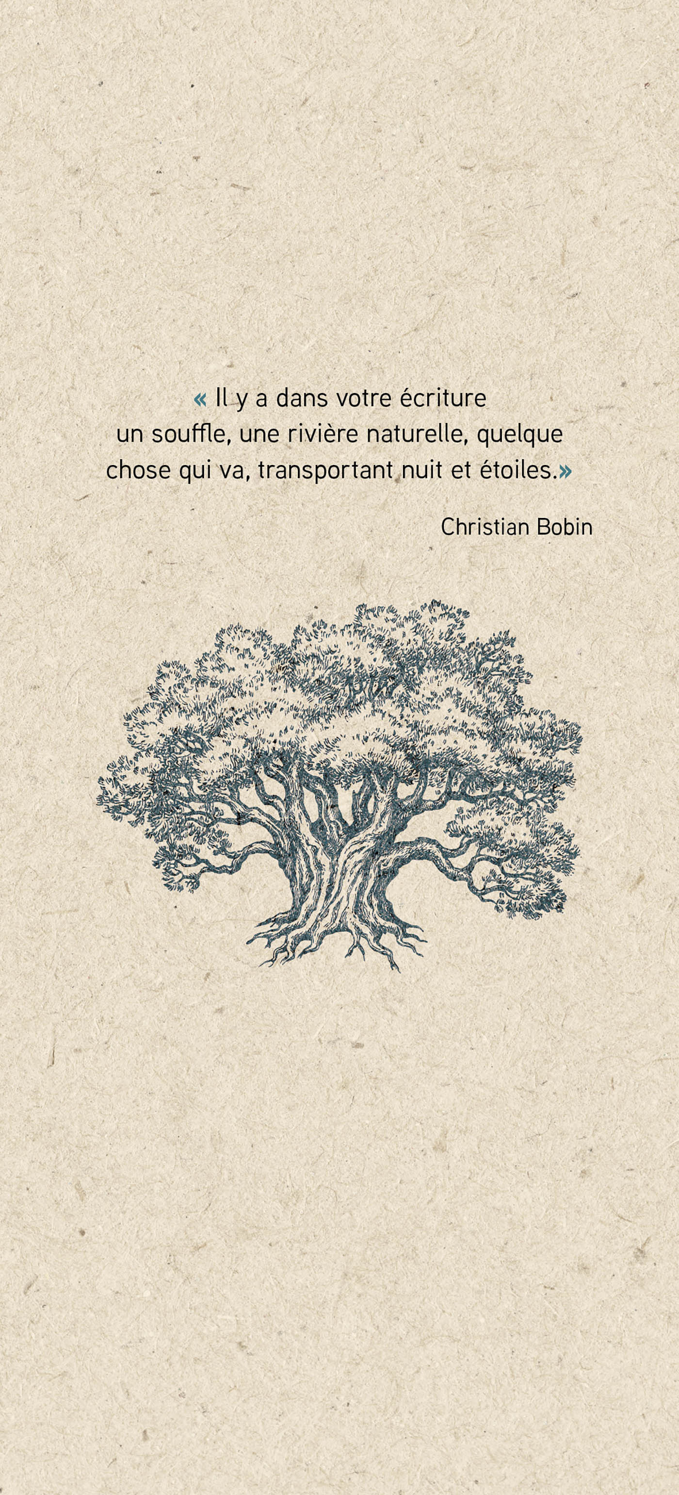 La révélation de l'arbre - 7 scénarios transgénérationnels pour dévoiler nos secrets de famille - Image 23