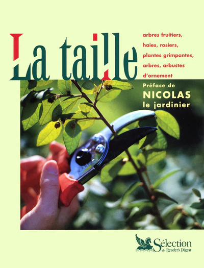 La taille - Image 2