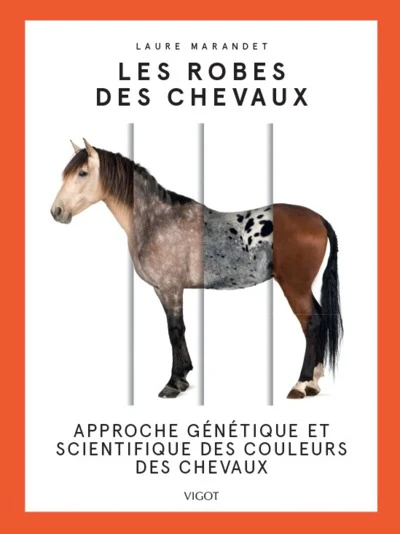 Les robes des chevaux - Image 5