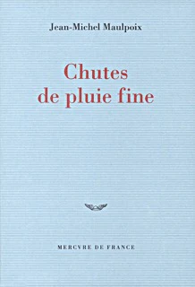 Chutes de pluie fine - Image 2