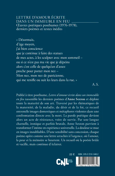 Lettre d'amour écrite dans un immeuble en feu - Image 2