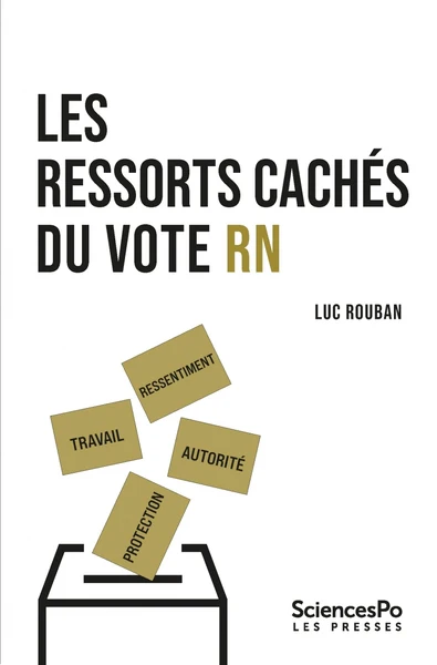 Les ressorts cachés du vote RN - Image 12