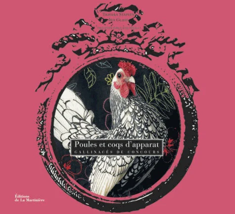 Poules et coqs d'apparat. Gallinacés de concours - Image 3