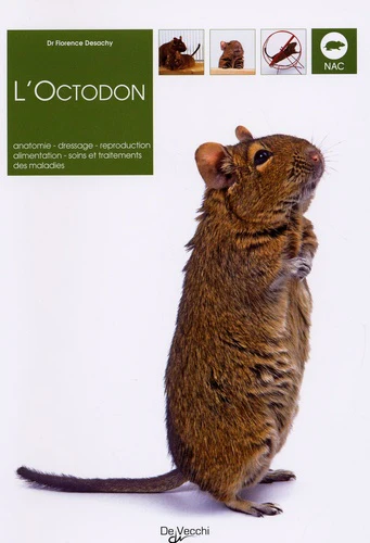 L'Octodon: Anatomie, dressage, reproduction, alimentation, soins et traitements des maladies - Image 3