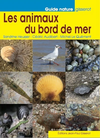 Les animaux du bord de mer - Image 2