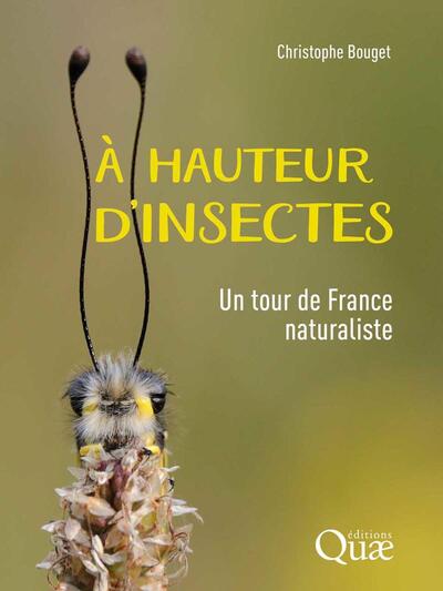 À hauteur d'insectes - Image 3