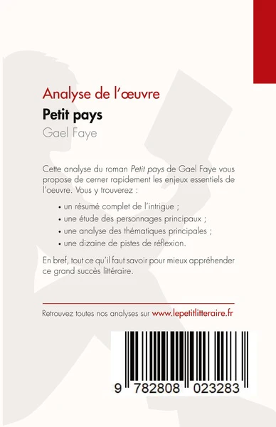 Petit pays de Gael Faye (Analyse de l'oeuvre) - Image 32
