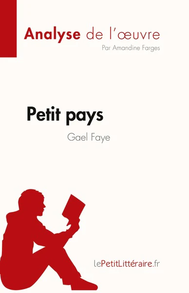 Petit pays de Gael Faye (Analyse de l'oeuvre) - Image 41