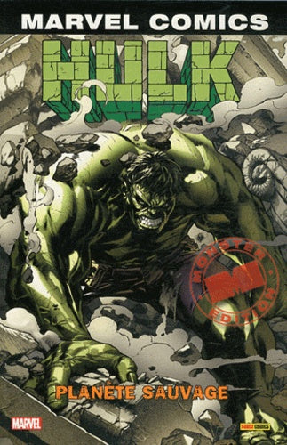 INCREDIBLE HULKS - Image 4