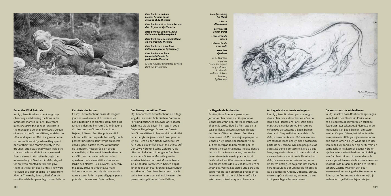Rosa Bonheur - Image 6