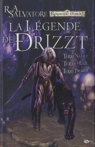 La Légende de Drizzt, Intégrale - Image 4