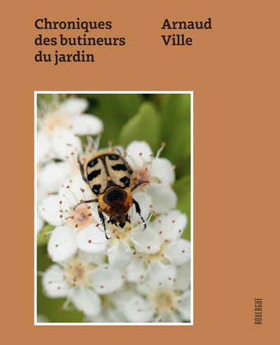 Chroniques des butineurs du jardin - Image 3