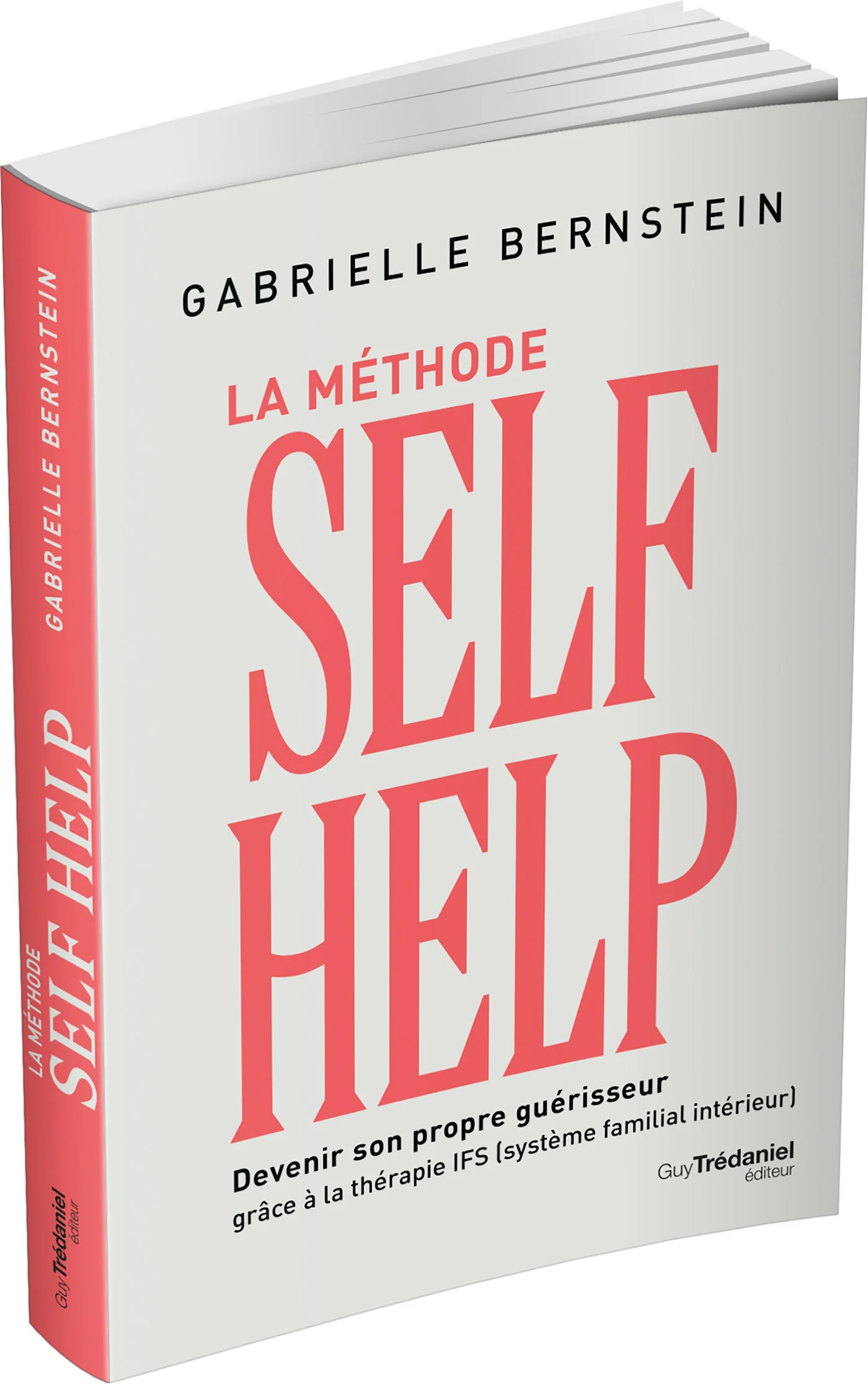 La méthode Self Help - Devenir son propre guérisseur grâce à la thérapie IFS (Système Familial Intérieur) - Image 21