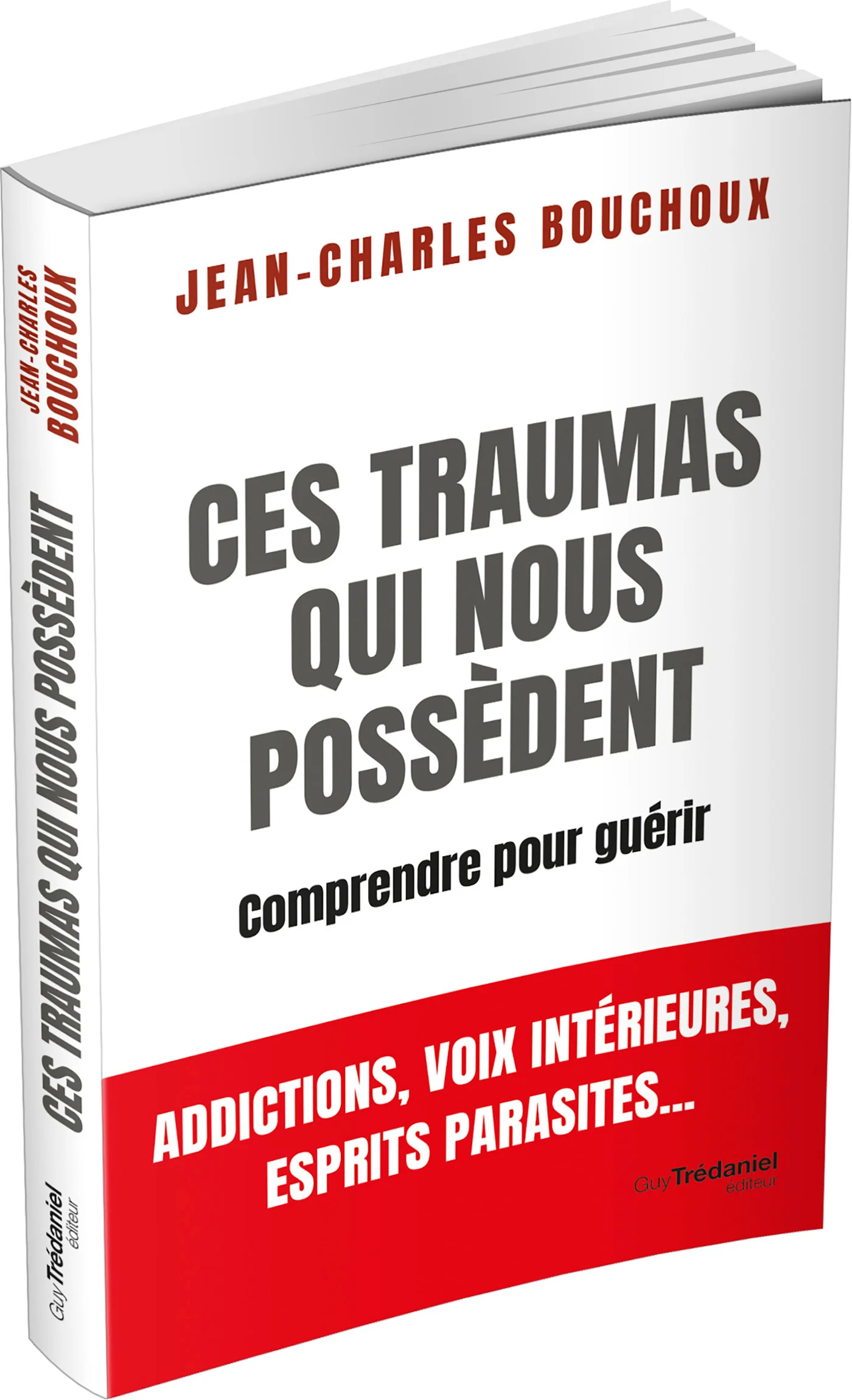 Ces traumas qui nous possèdent - Comprendre pour guérir - Image 3