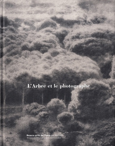 L'ARBRE ET LE PHOTOGRAPHE - Image 2
