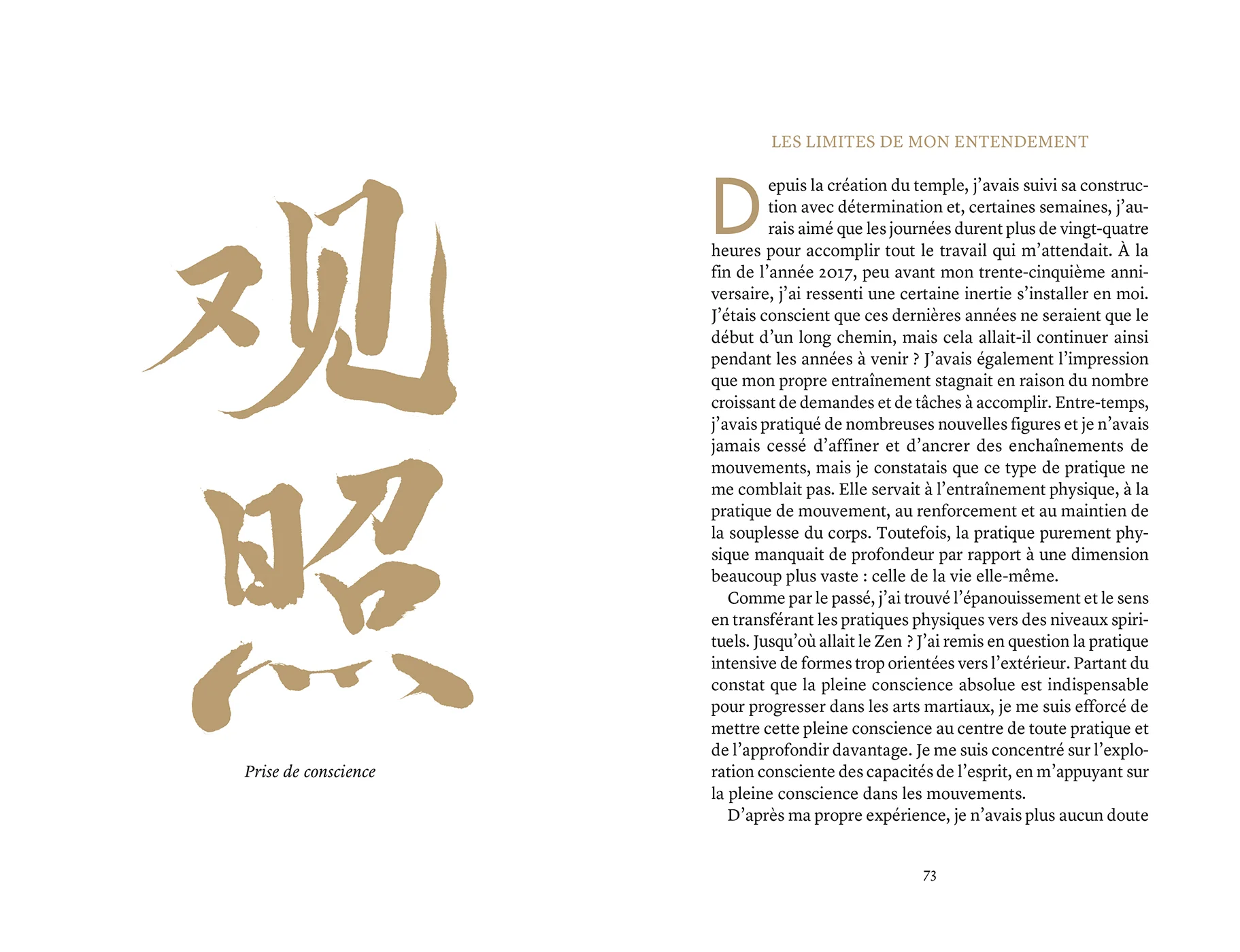 Shaolin Mind - Image 23