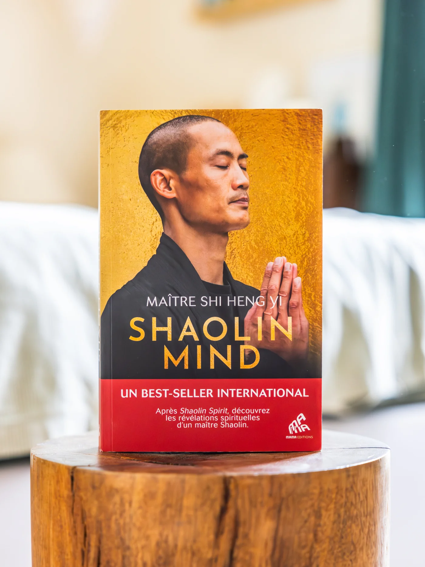 Shaolin Mind - Image 24