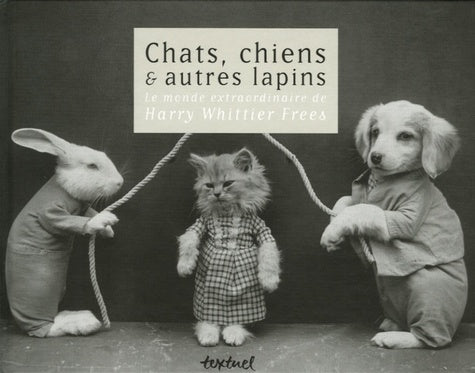 Chats, chiens et autres lapins. - Image 2