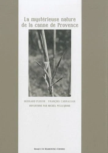 La mystérieuse nature de la canne de Provence - Image 2