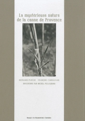 La mystérieuse nature de la canne de Provence - Image 4