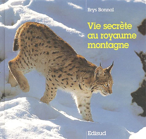 Vie Secrete Au Royaume Montagne - Image 3