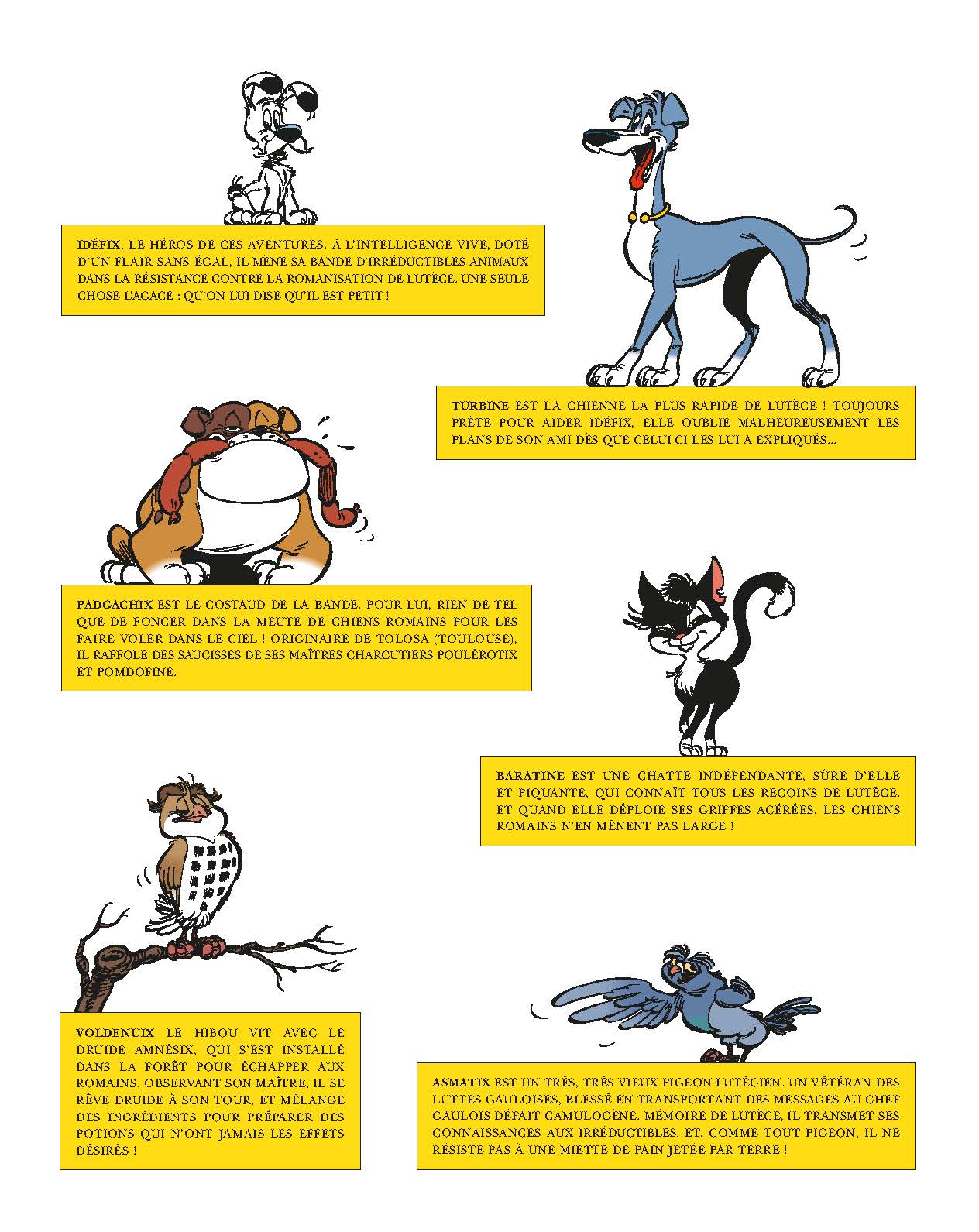 Idéfix et les Irréductibles Tome 9 - Goudurix fait le mur - Image 10