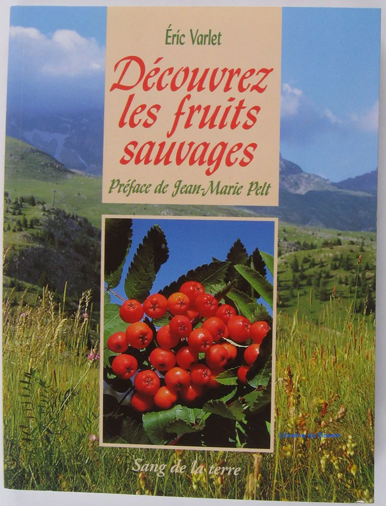Decouvrez les fruits sauvages - Image 2