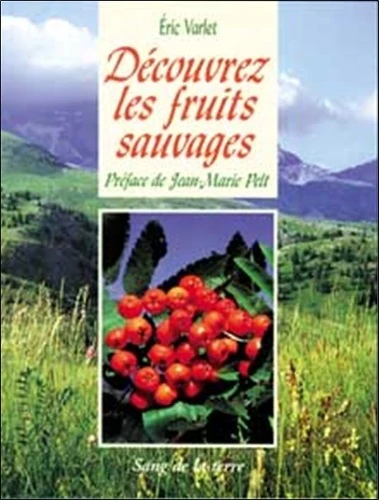 Decouvrez les fruits sauvages - Image 6