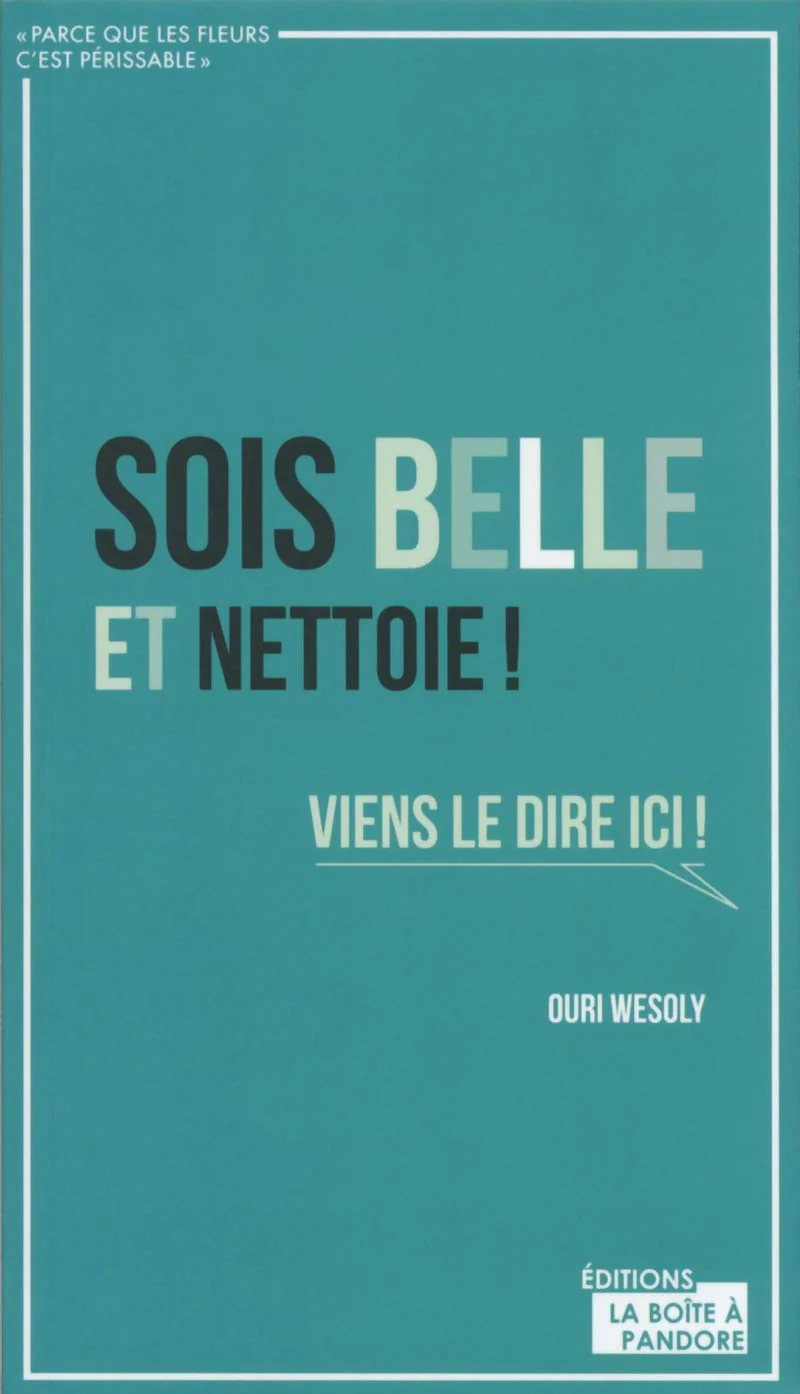 Sois-belle et nettoie ! - Image 2