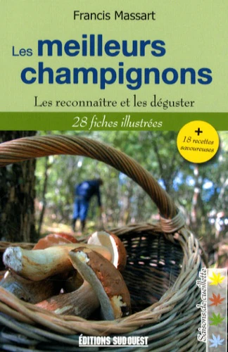 Les meilleurs champignons: Les reconnaître et les déguster - Image 3