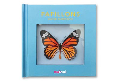 Papillons - Image 3