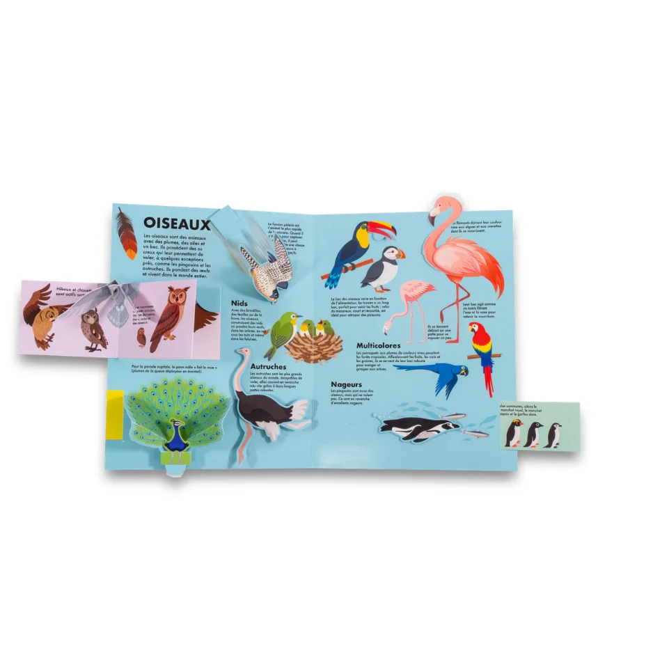 Un livre tout animé - Animaux - Image 3