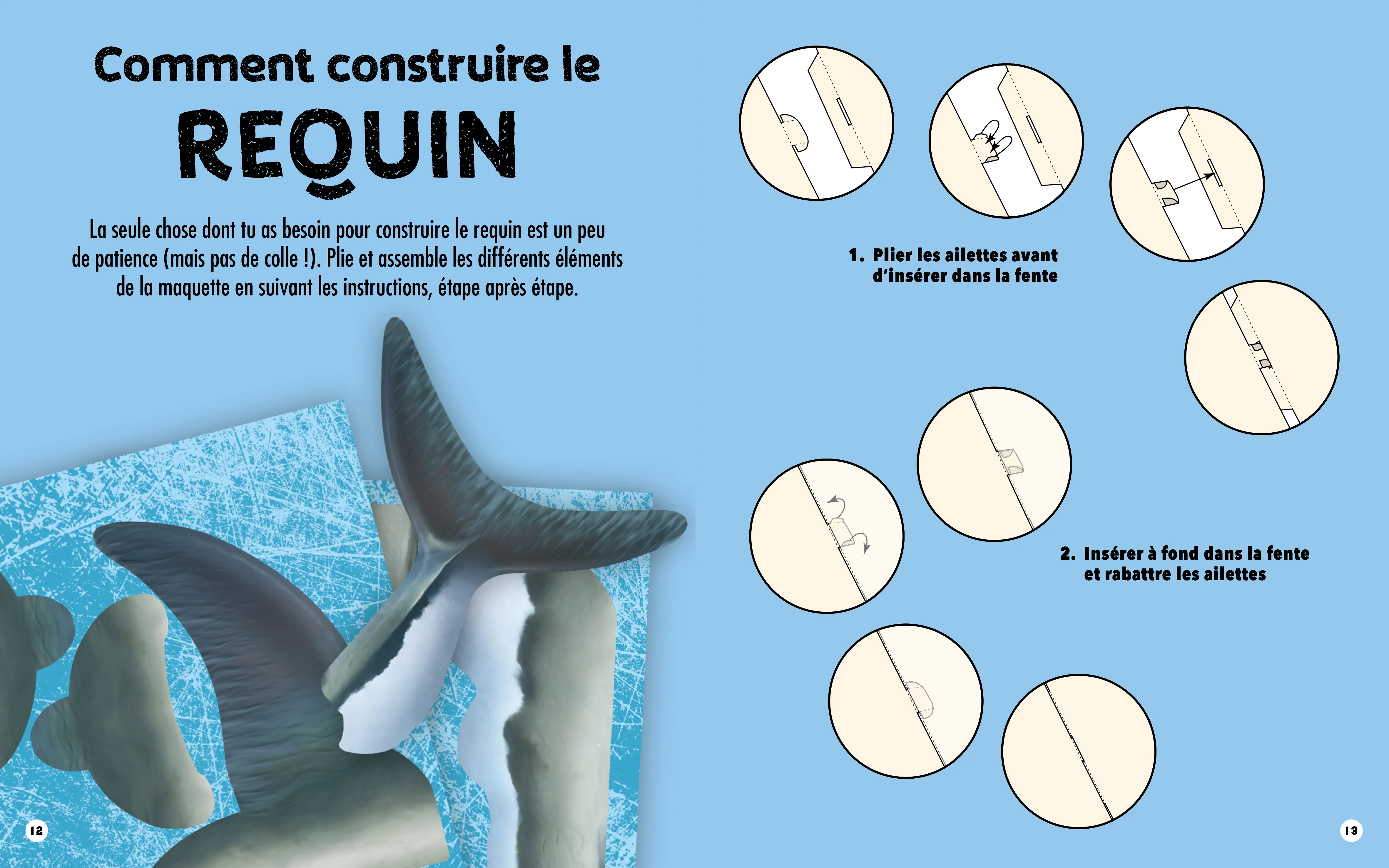Requin - Construis ton requin géant en 3D - Image 12
