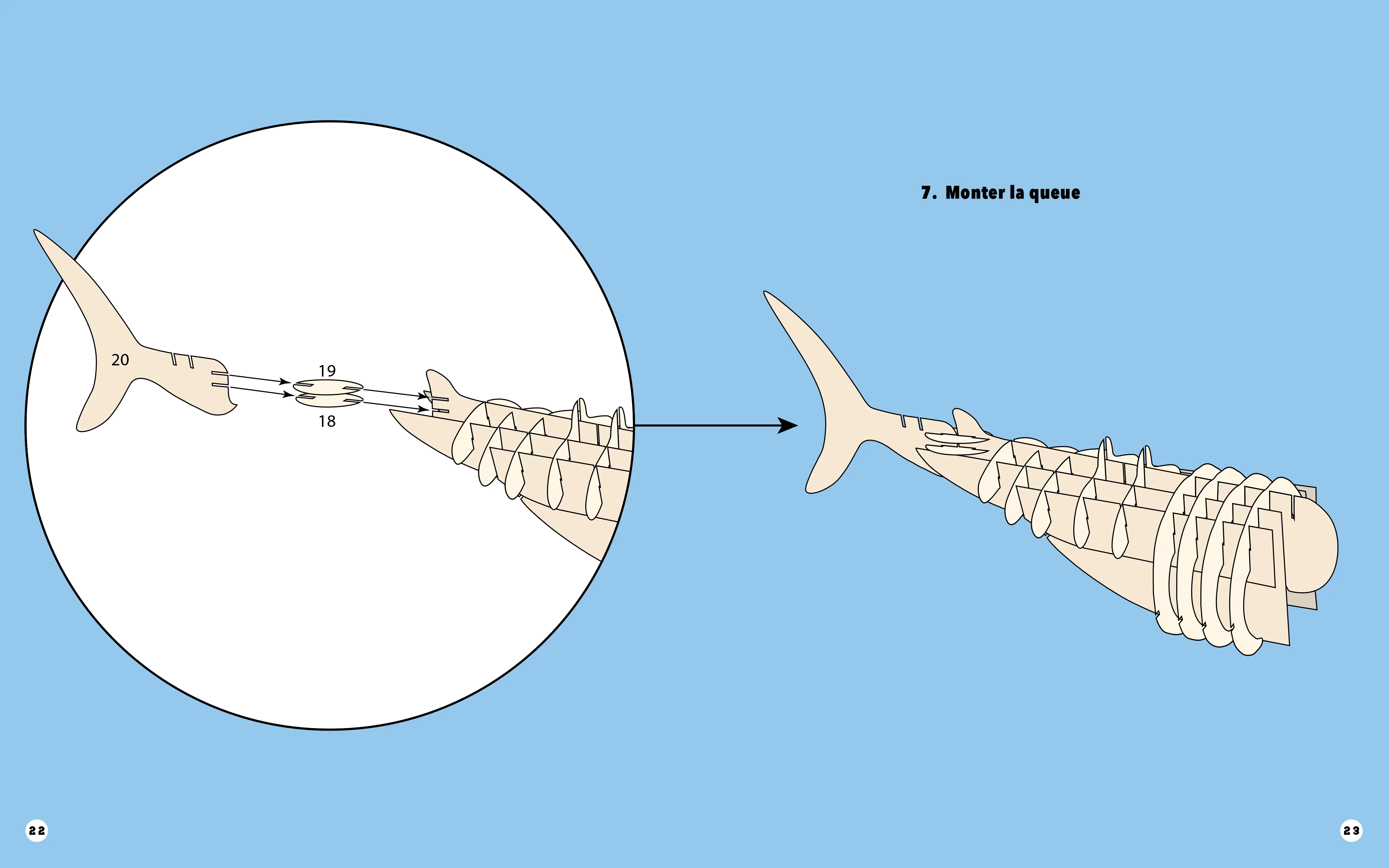 Requin - Construis ton requin géant en 3D - Image 14