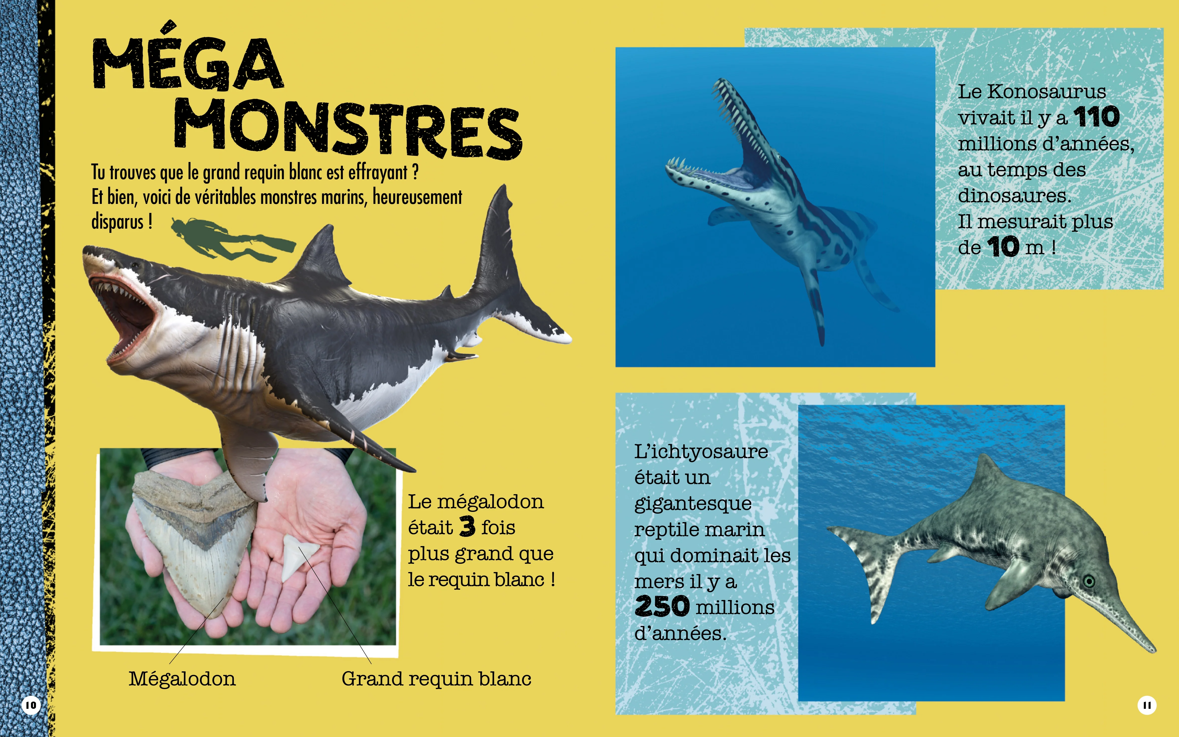Requin - Construis ton requin géant en 3D - Image 4