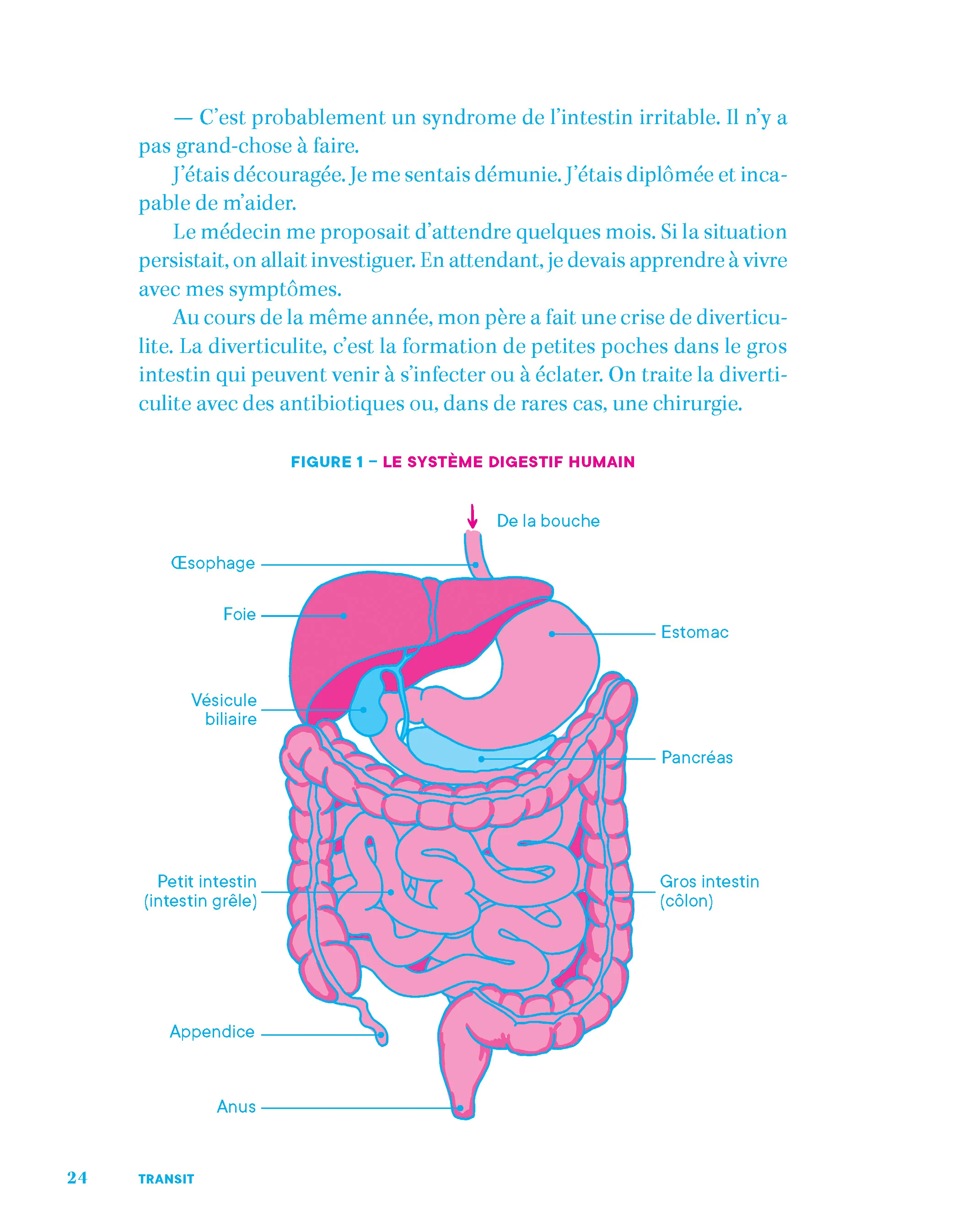 Transit : une meilleure digestion pour une santé optimale - Image 17