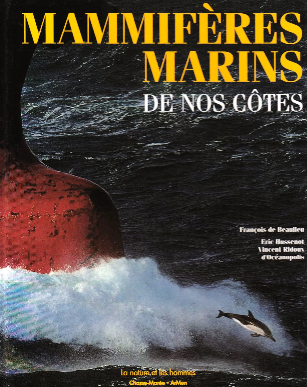 Mammifères marins de nos côtes - Image 2