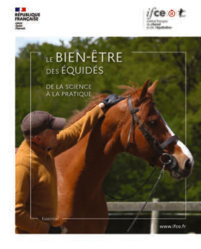 Le bien-être des équidés - Image 4