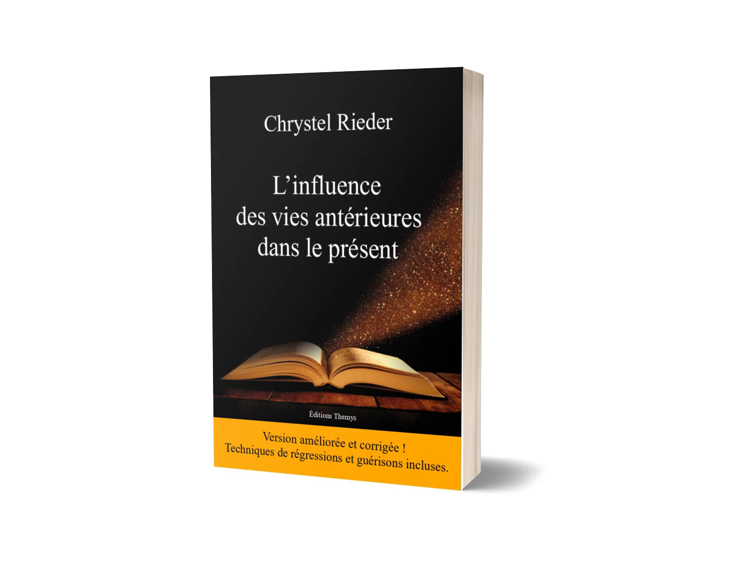 L'influence des vies antérieures dans le présent - Image 21