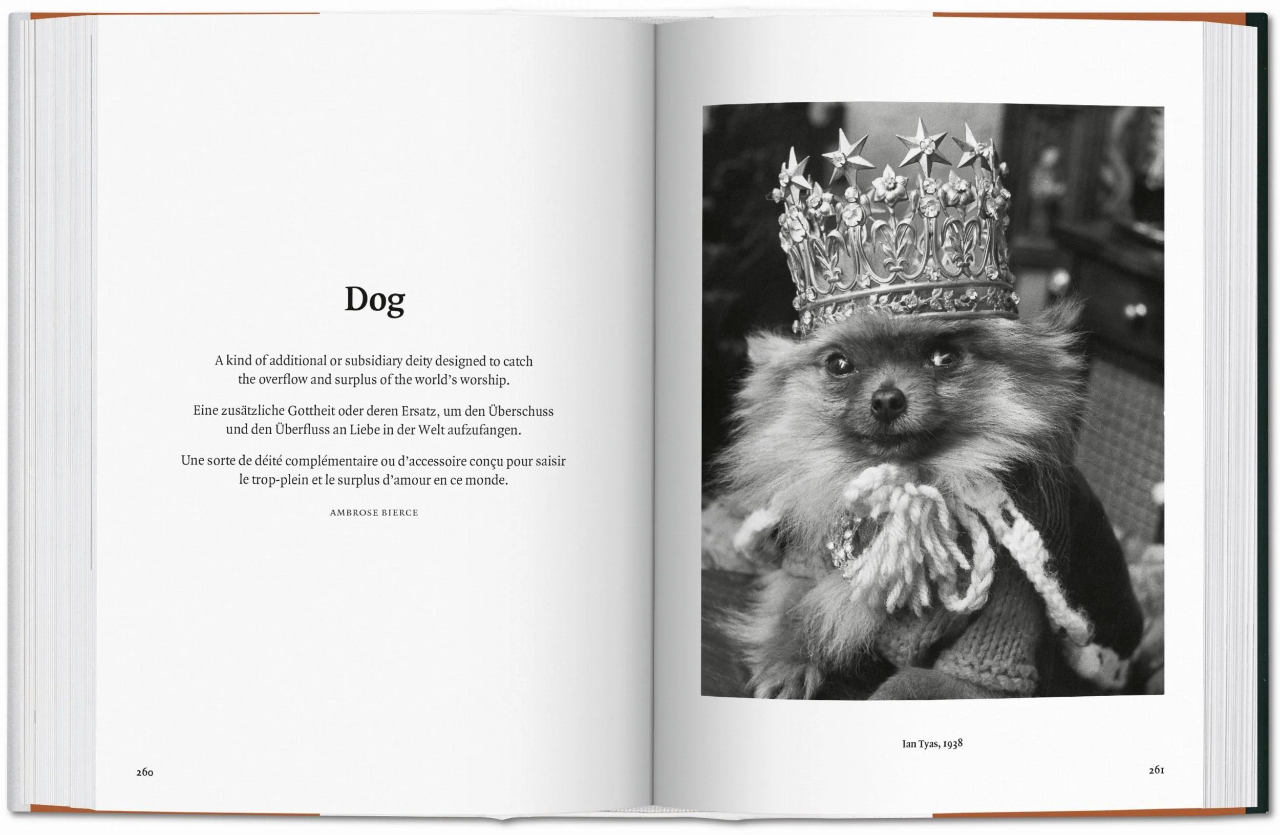The Dog in Photography 1839–Today - Image 14