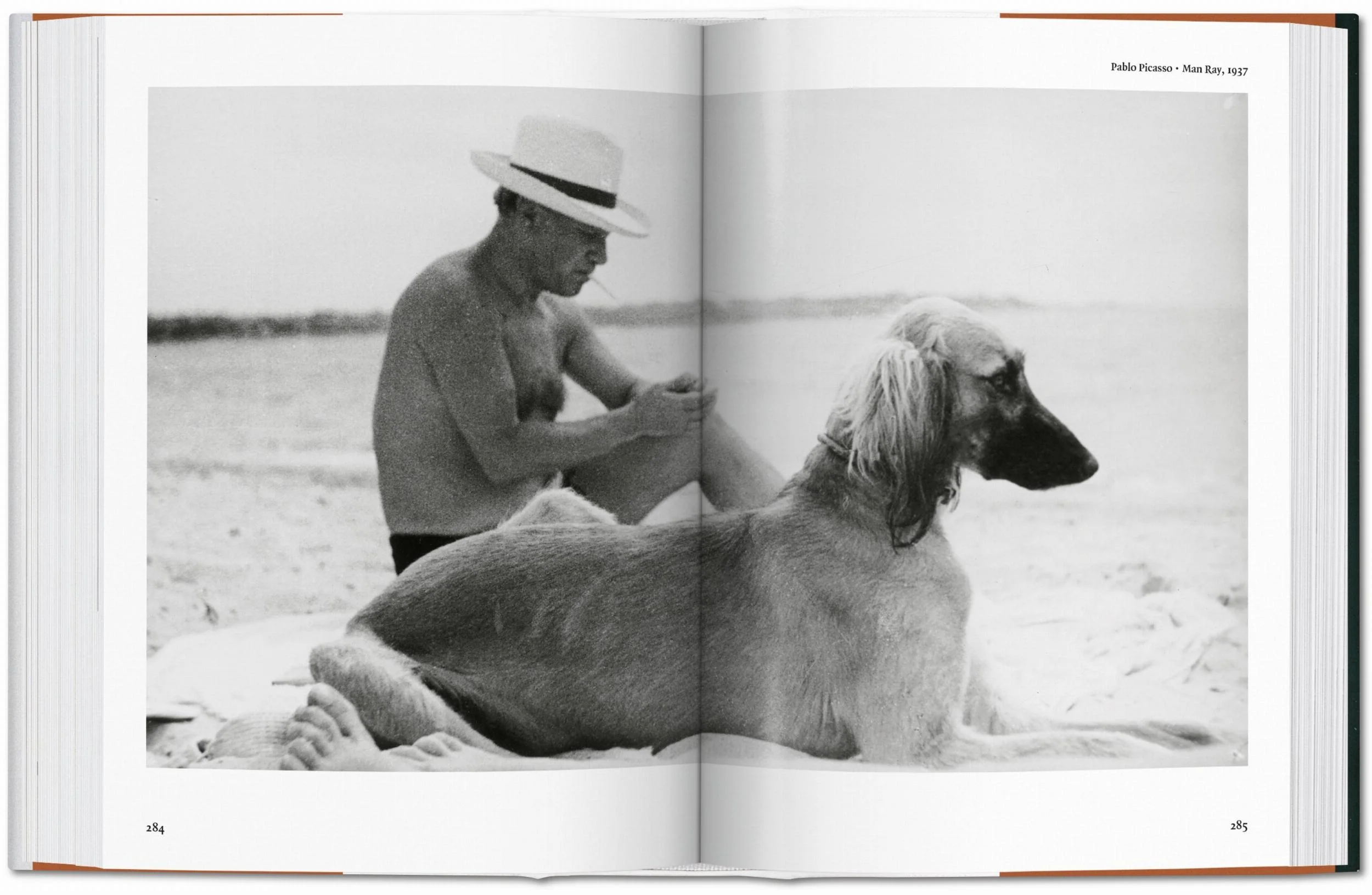 The Dog in Photography 1839–Today - Image 6