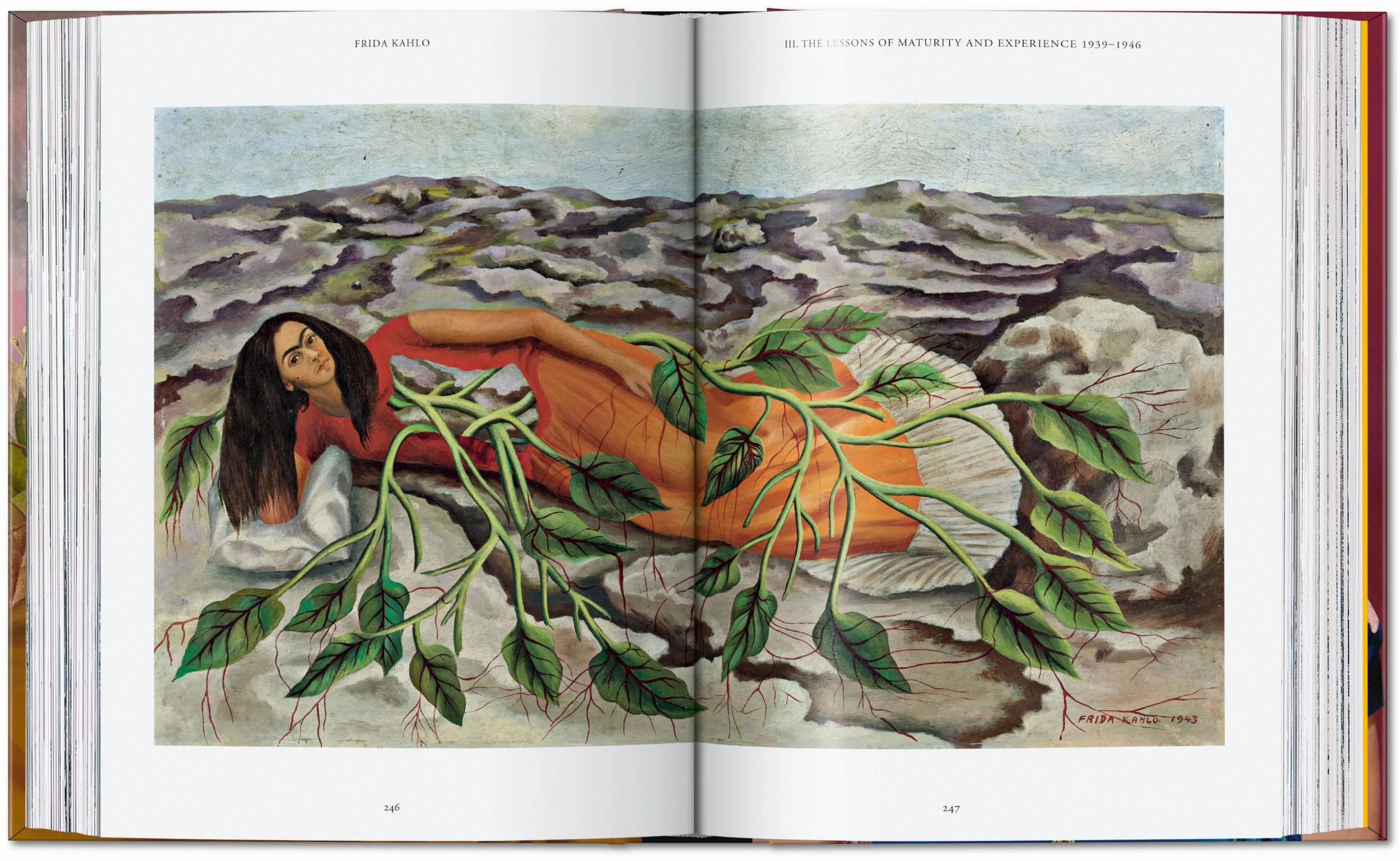 Frida Kahlo - Image 17