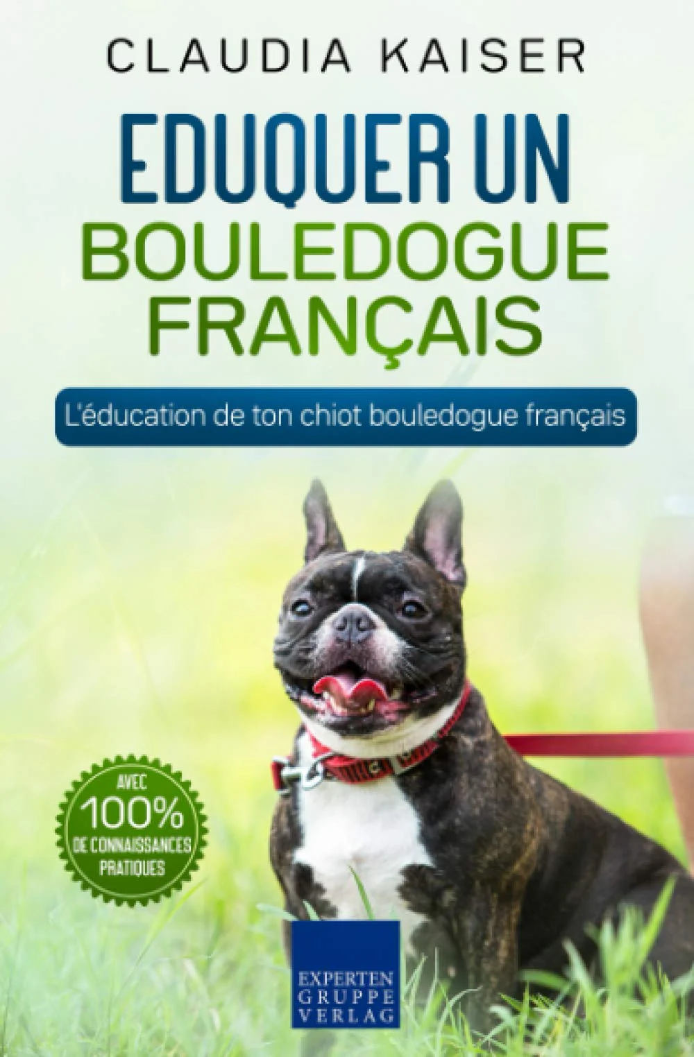 Eduquer un bouledogue français: L'éducation de ton chiot bouledogue français - Image 4